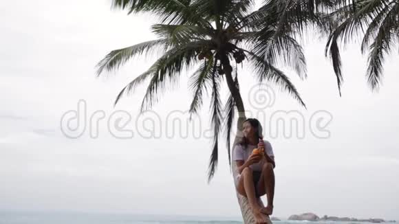 女孩坐在棕榈树上视频的预览图
