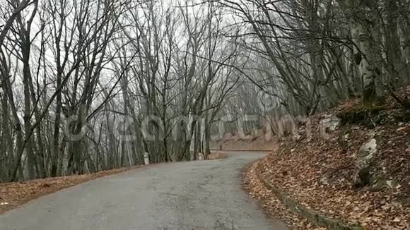 蜿蜒的山路蜿蜒在树林里秋天的落叶光秃秃的树冠视频的预览图