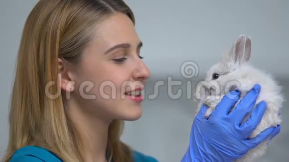 女兽医与可爱的兔子玩耍在健康检查前减轻压力视频的预览图