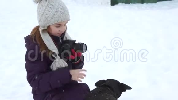 黑狗嗅着摄像机视频的预览图