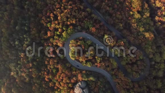 秋林中曲线路视频的预览图