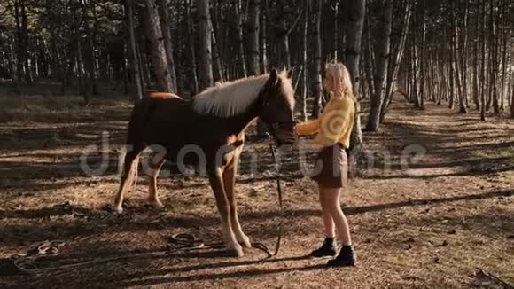 年轻女教练的侧视是用白色的鬃毛牵引美丽的棕马在木头上缓慢的运动视频的预览图