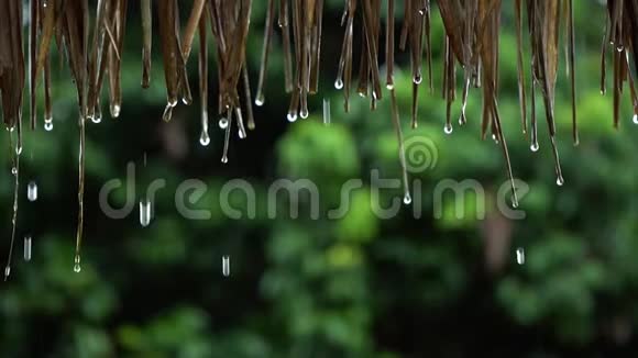 雨滴从屋顶视频的预览图