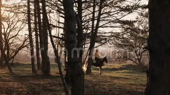 迷人的金发女人骑着美丽的壮马在秋木慢动作视频的预览图