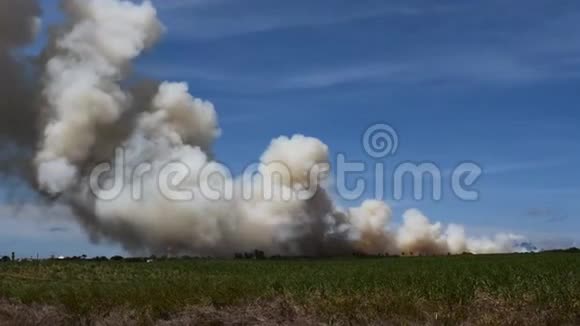 一场大火的视频与巨大的烟云气候变暖的背景视频的预览图