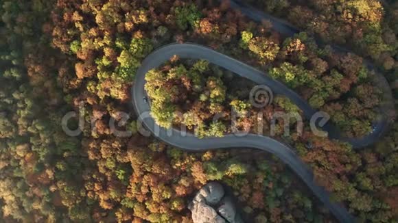 秋林中曲线路视频的预览图