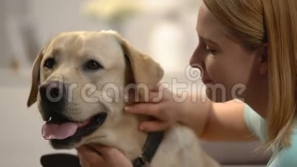 年轻女子拥抱狗情感宠物连接快乐的拉布拉多主人爱视频的预览图