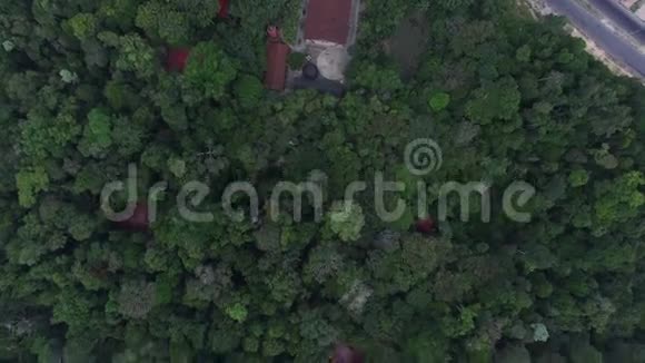 鸟瞰亚马逊森林巴西视频的预览图