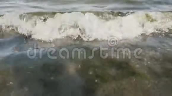 夏季傍晚海水中有大量的藻类冲刷着沙质海岸视频的预览图