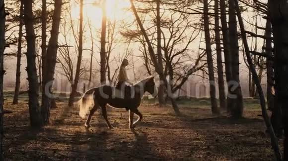 年轻的马在日落时骑着马慢慢地运动视频的预览图