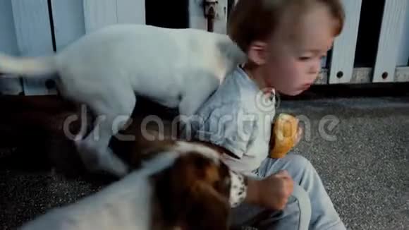 儿童吃面包玩狗视频的预览图
