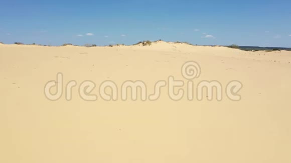 鸟瞰沙丘沙漠干燥的植物阳光明媚的夏日视频的预览图