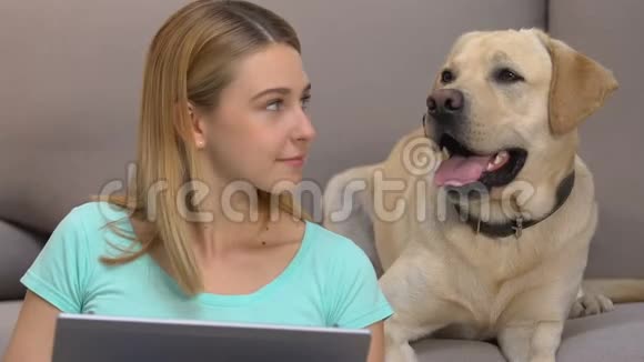 年轻女子手提电脑狗坐在沙发旁边宠物的情感联系视频的预览图
