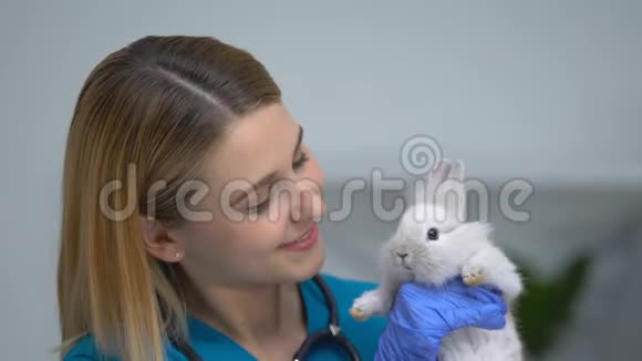 友好的女兽医抱着可爱的兔子兽医诊所的广告视频的预览图