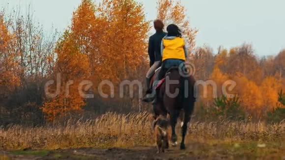 两个女人在秋天的大自然里骑马一只狗跟着他们视频的预览图