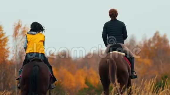 两个女人骑着马在秋天的田野上一只狗跟着他们视频的预览图
