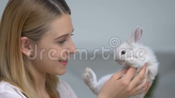 漂亮的女孩抱着兔子玩最喜欢的宠物减压疗法视频的预览图