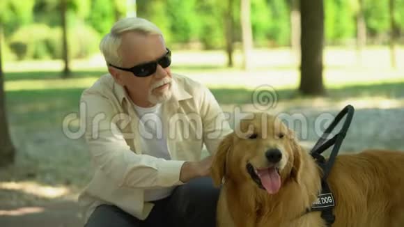 盲人老人慈爱地抚摸着导盲犬感激地喂养着宠物视频的预览图