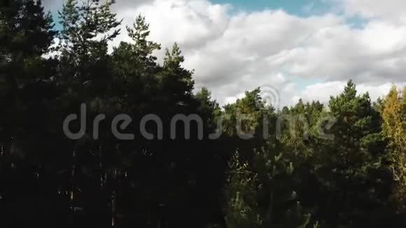 在森林树木之上升起的无人机展示了白俄罗斯明斯克市的城市全景秋日国家图书馆视频的预览图