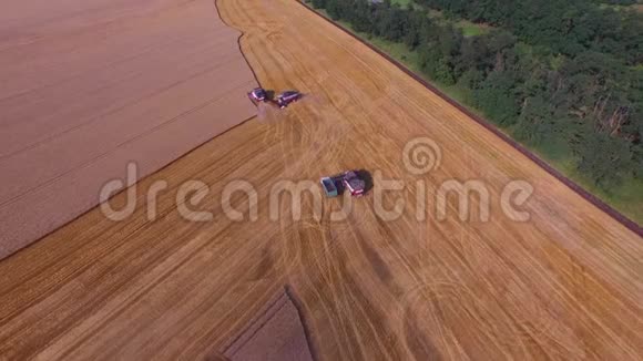 美丽的空中广角拍摄其中三个组合正在田间工作以收获小麦4K视频的预览图