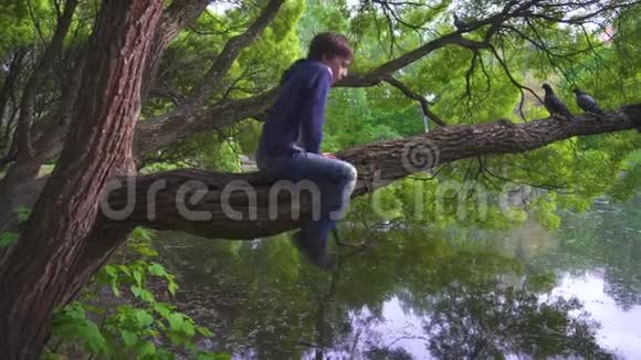 小男孩坐在池塘边的一棵树上和鸟儿说话视频的预览图