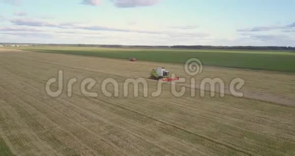 种植成熟小麦的收割机农村景观视频的预览图
