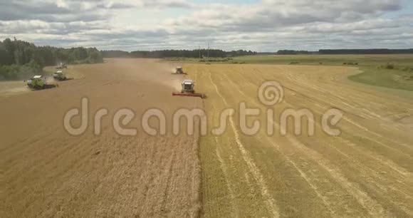 用收割机收割小麦的空中全景收获视频的预览图