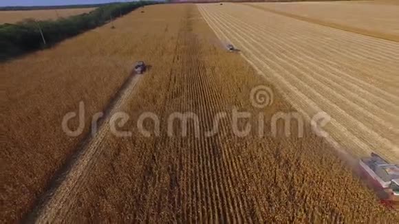 无人机飞上去展示超宽角场结合收割小麦4K镜头视频的预览图