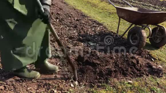 女园丁用叉子在手推车附近挖土园艺概念视频的预览图