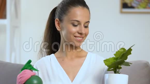 年轻女性手持花洒和盆栽相机微笑花托视频的预览图