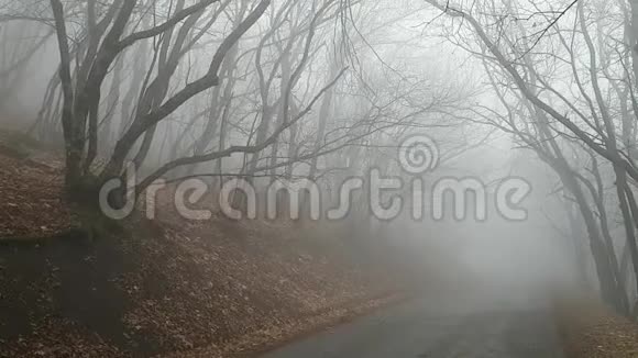 令人难以置信的美丽薄雾森林秋公园寂寞沥青路浓雾弥漫神秘的神秘天气视频的预览图