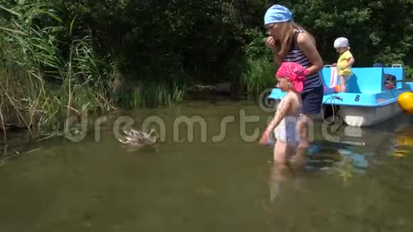 带着孩子在湖岸喂鸭子的女人带双体船的刺激旅行视频的预览图