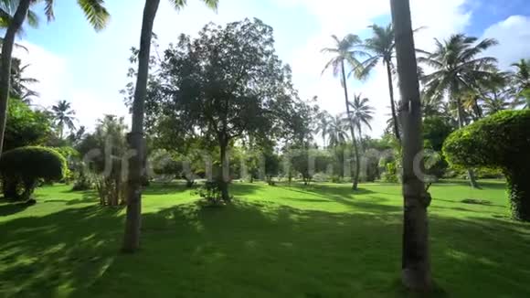 马尔代夫太阳岛度假村绿色国家公园从万向节4K决议视频的预览图