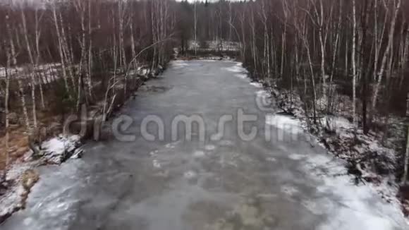鸟瞰冻林湖景观全景冬季森林和冰雪覆盖的湖泊视频的预览图