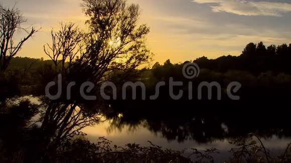在日落时看着池塘视频的预览图