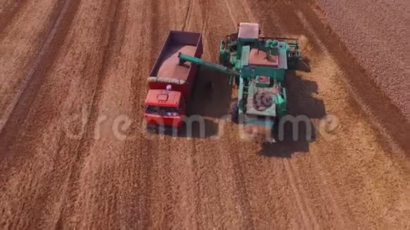 联合收割机在田间收获小麦在卡车里装货空中观景视频的预览图