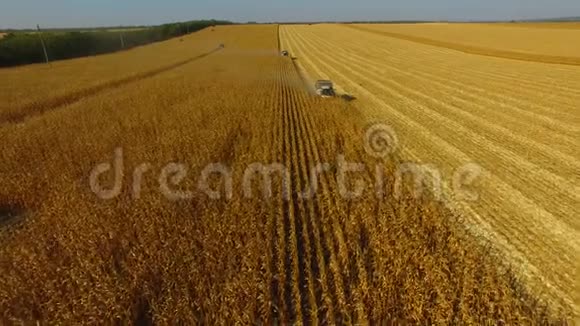 两个组合在晴天收获小麦无人驾驶飞机宽射4K视频的预览图