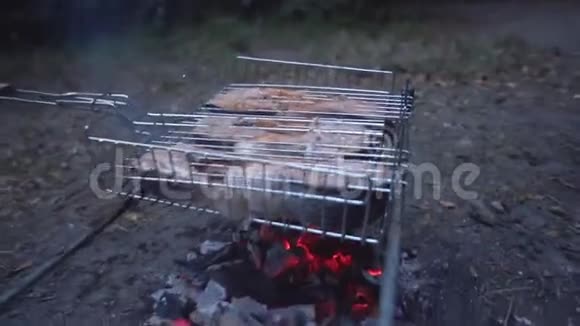 在大自然中休息把菜放在木桩上烧烤架上的菜视频的预览图