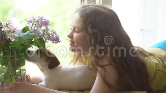 儿童拥抱她的小狗朋友在窗户上的肖像头发上有花视频的预览图