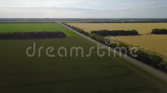 麦田道路分隔两片田野地上的金色麦穗麦田俯视图相机向前飞视频的预览图