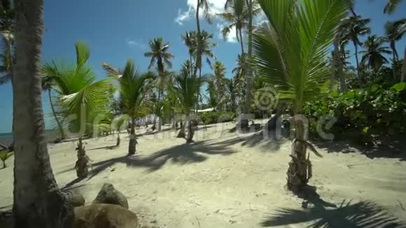 北回归线无人居住的小岛从万向节可以看到棕榈树和干净的沙子视频的预览图