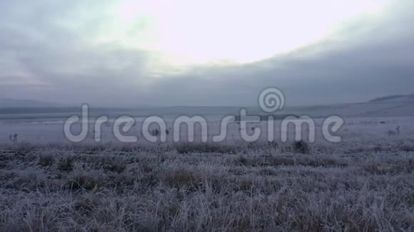 在寒冷的冬天早晨美丽的空中镜头掠过韦弗利湖视频的预览图