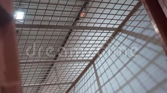 监栏和灯笼照亮了监狱走廊照相机慢慢地转动视频的预览图