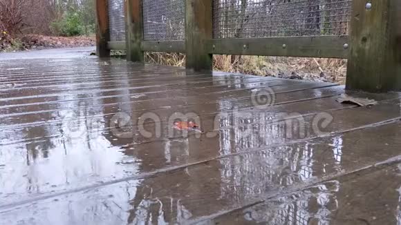 雨落在满是落叶的步行桥上视频的预览图