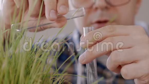 实验室里一位男性科学家的特写镜头将清澈的液体倒入生长着的青草旁边的试管中视频的预览图