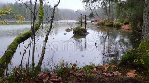 德国腹地湖的秋雨视频的预览图