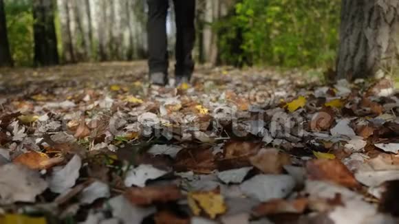 男鞋走在秋叶上视频的预览图
