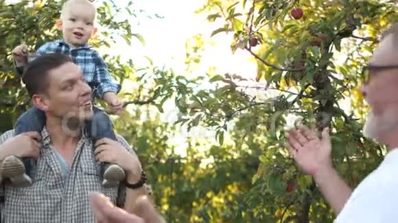 三代一家在夏天的苹果园里放松祖父成年儿子小孙子笑视频的预览图