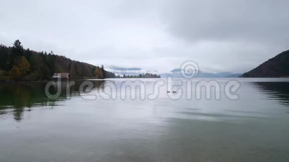 德国科切尔沃尔钦湖秋晚景色视频的预览图