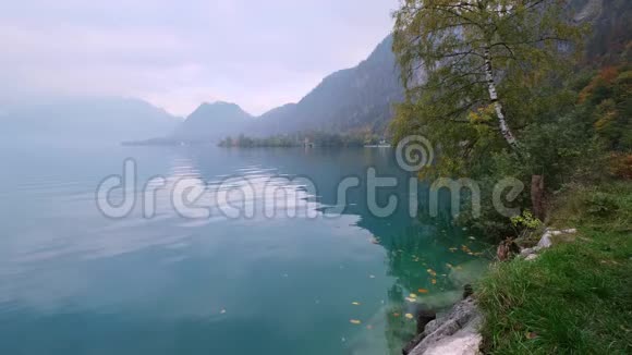 上奥地利萨尔茨卡梅尔古特秋湖Attersee视频的预览图